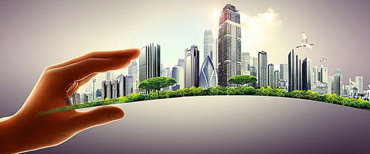 Real Estate Investment